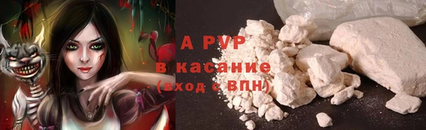 Альфа ПВП Магадан