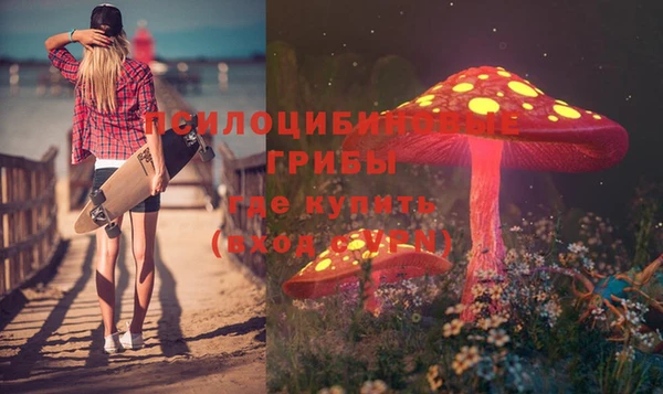 мяу мяу кристалл Арсеньев