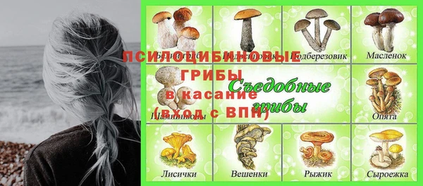 кокс Аркадак