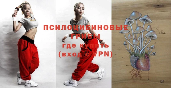 кокс Аркадак