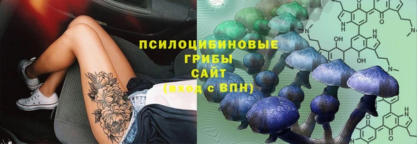 кокс Аркадак