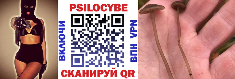 Псилоцибиновые грибы Psilocybine cubensis Баймак